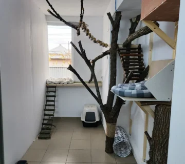 Interior Animal Hotel cu spații amenajate pentru animale