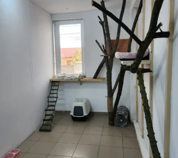 Spațiu de cazare pentru pisici la Animal Hotel